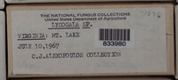 Image Associated With the Occurence